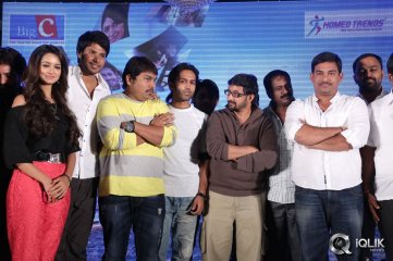 Gallo Telinattunde Movie Audio Function
